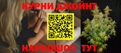 сатива Ирбит