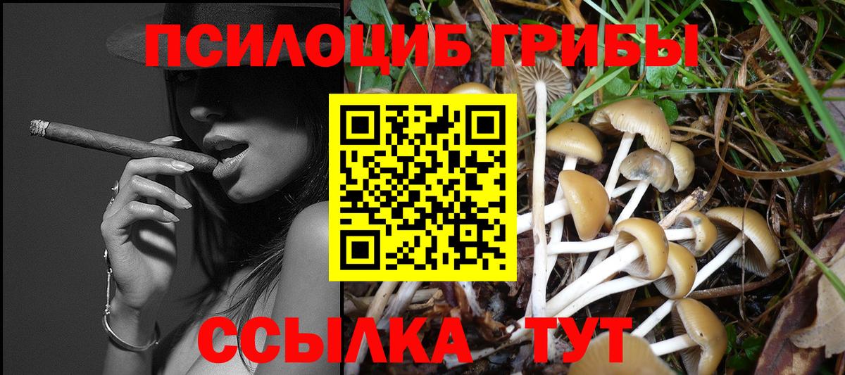 Галлюциногенные грибы Cubensis  Вход с VPN  Чапаевск 